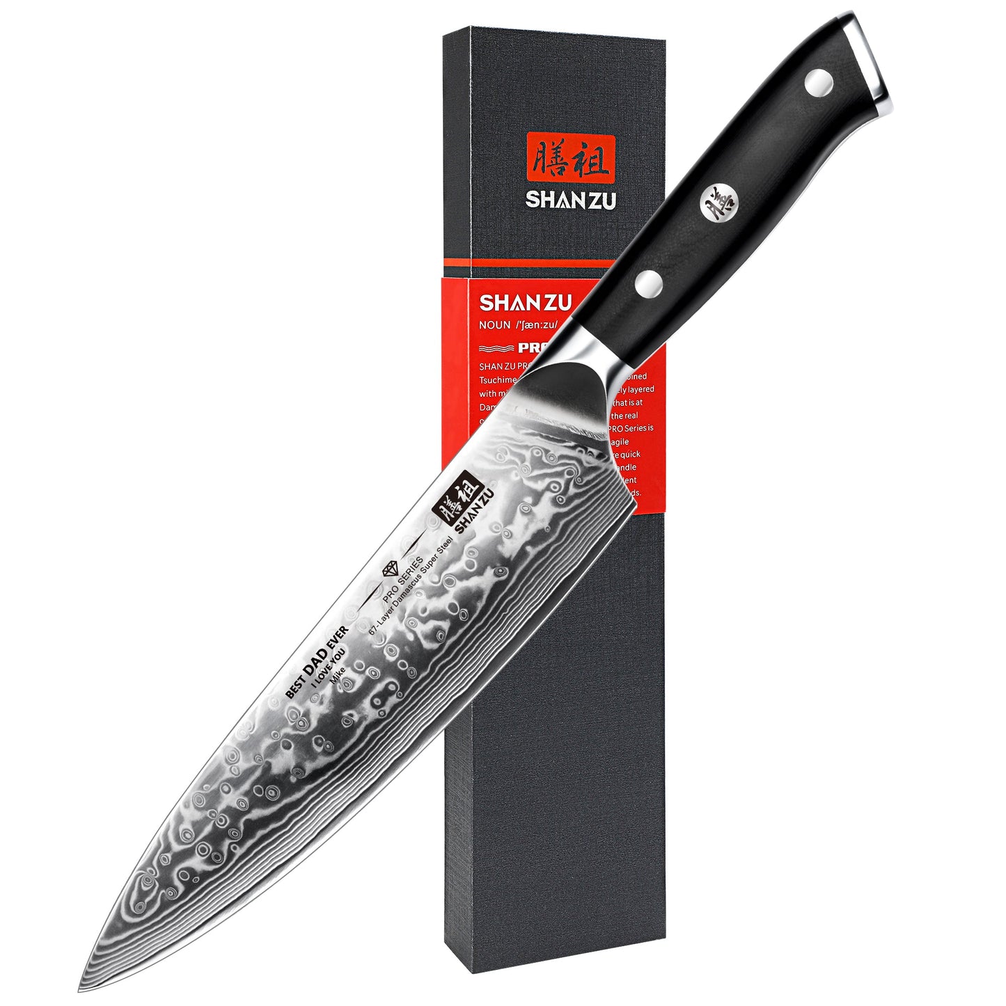 PRO Damascus Chef Knife+MAGNE TICKNIFE HOLDER