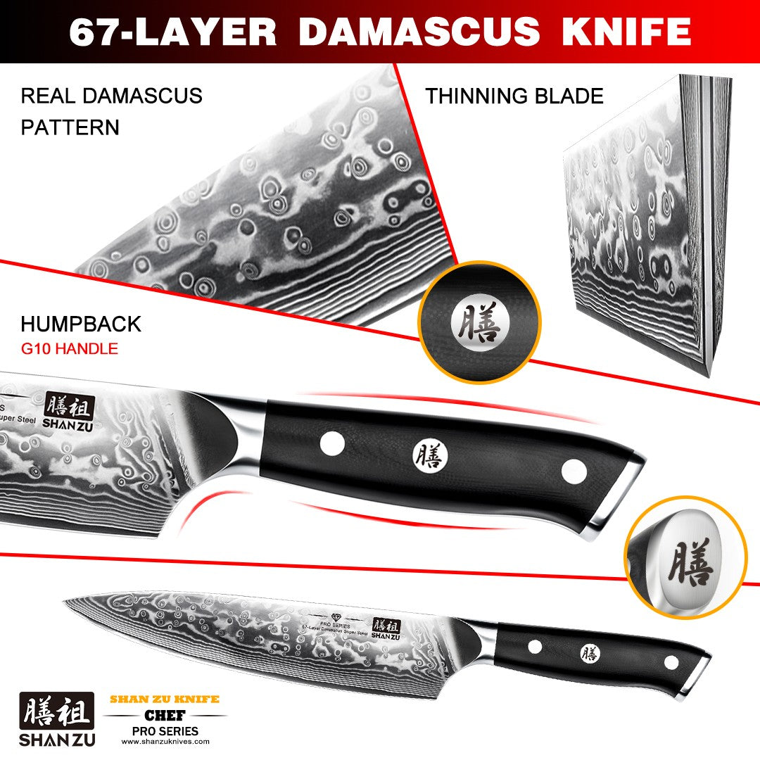 PRO Damascus Chef Knife+MAGNE TICKNIFE HOLDER