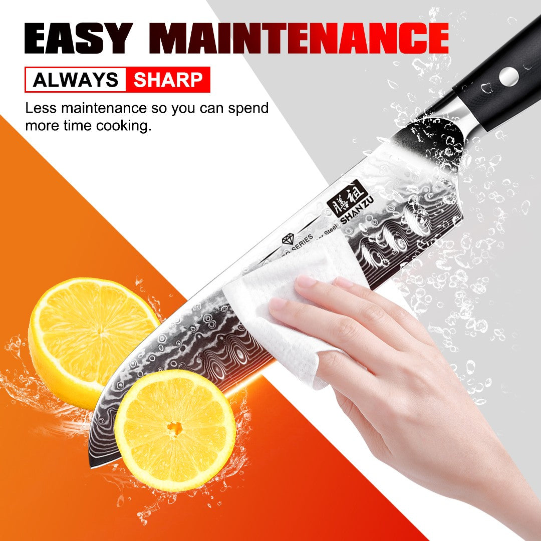 PRO Damascus Santoku Knife+MAGNE TICKNIFE HOLDER