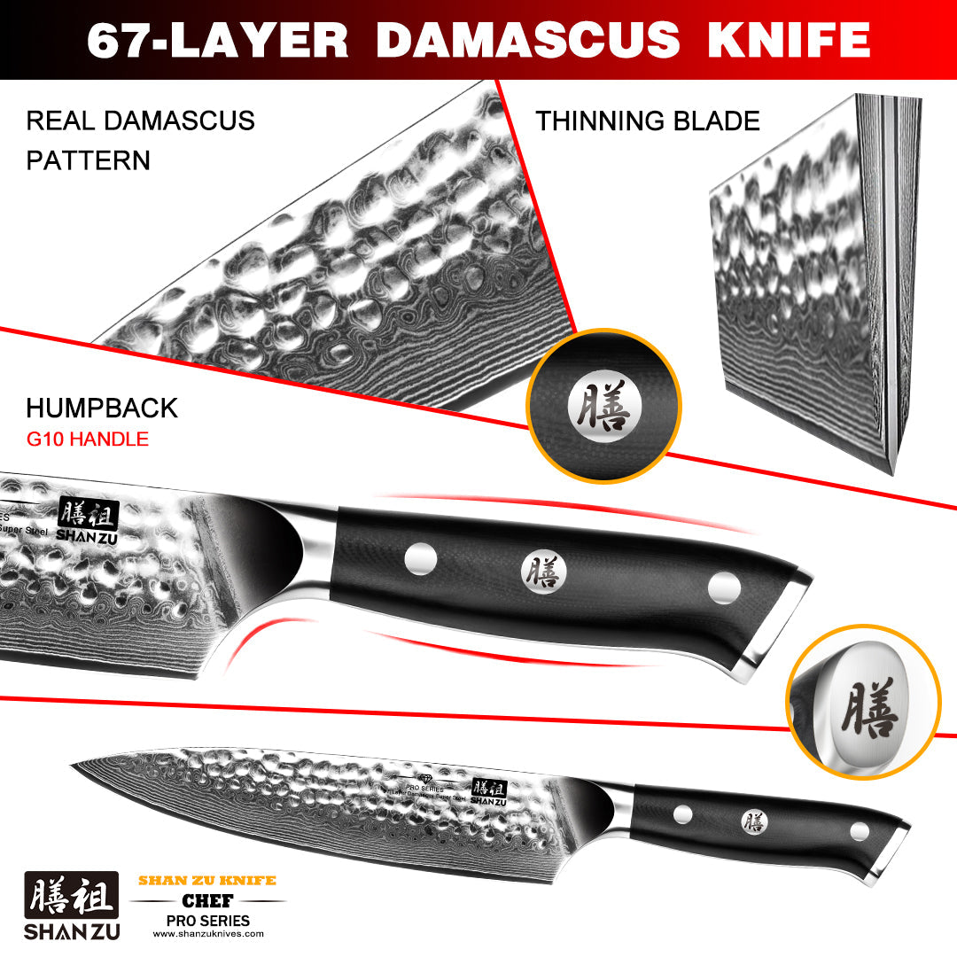 PRO Damascus Chef Knife Plus+MAGNE TICKNIFE HOLDER