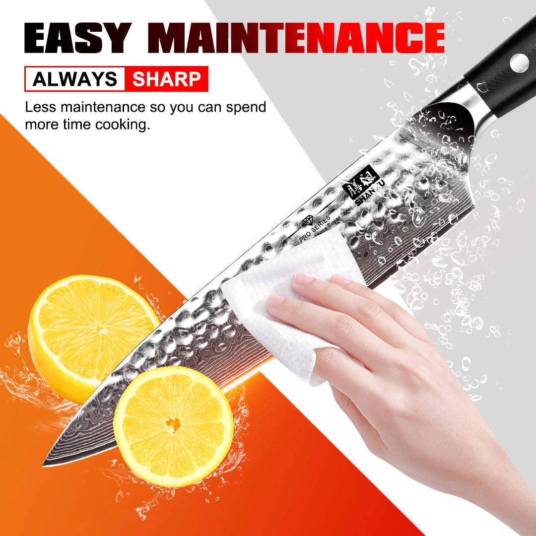 PRO Damascus Chef Knife Plus+MAGNE TICKNIFE HOLDER