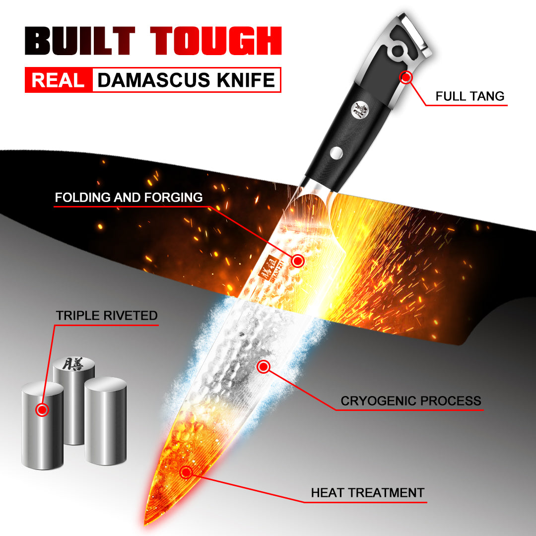 PRO Damascus Chef Knife Plus+MAGNE TICKNIFE HOLDER