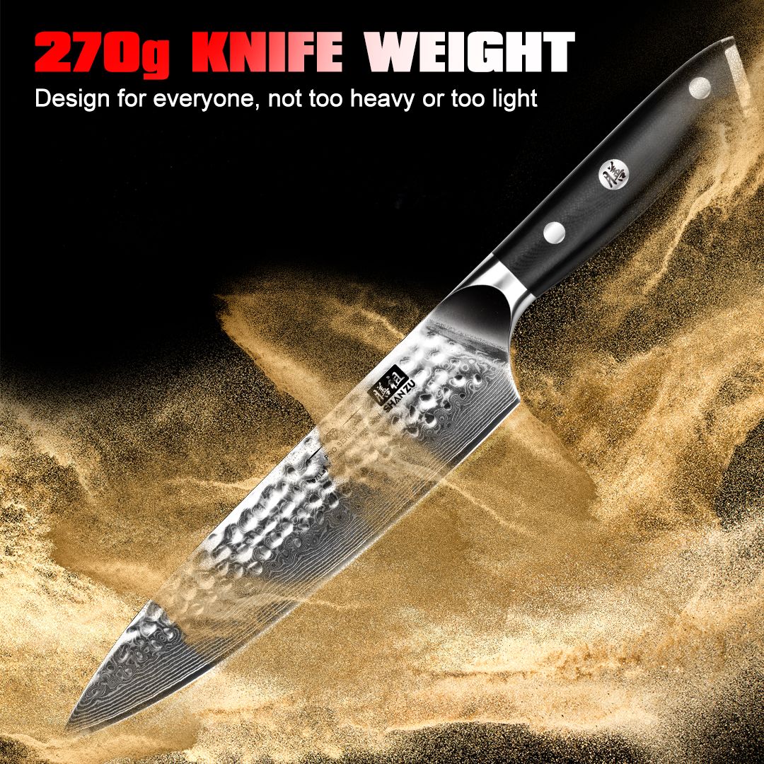 PRO Damascus Chef Knife Plus+MAGNE TICKNIFE HOLDER