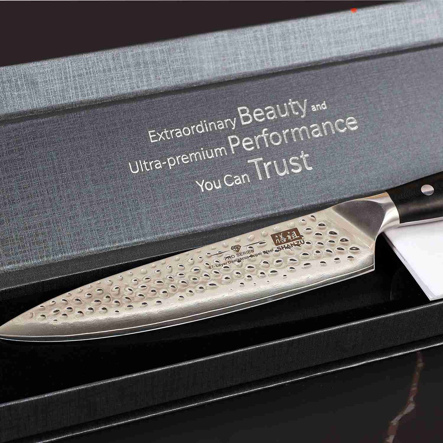 PRO Damascus Chef Knife Plus+MAGNE TICKNIFE HOLDER