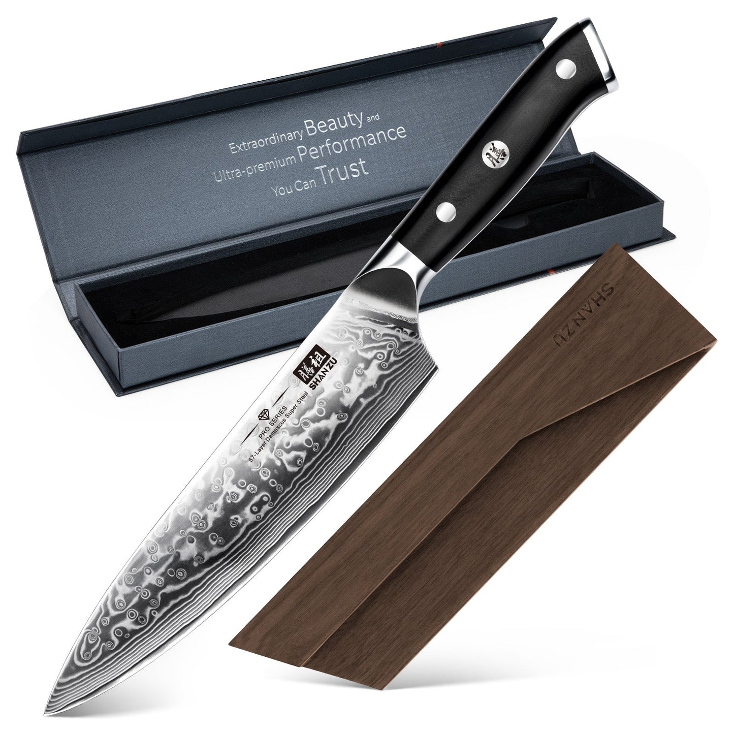PRO Damascus Chef Knife+MAGNE TICKNIFE HOLDER