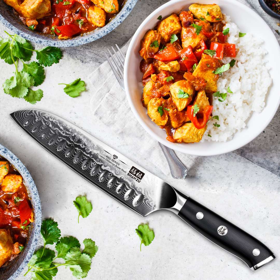 PRO Damascus Santoku Knife+MAGNE TICKNIFE HOLDER