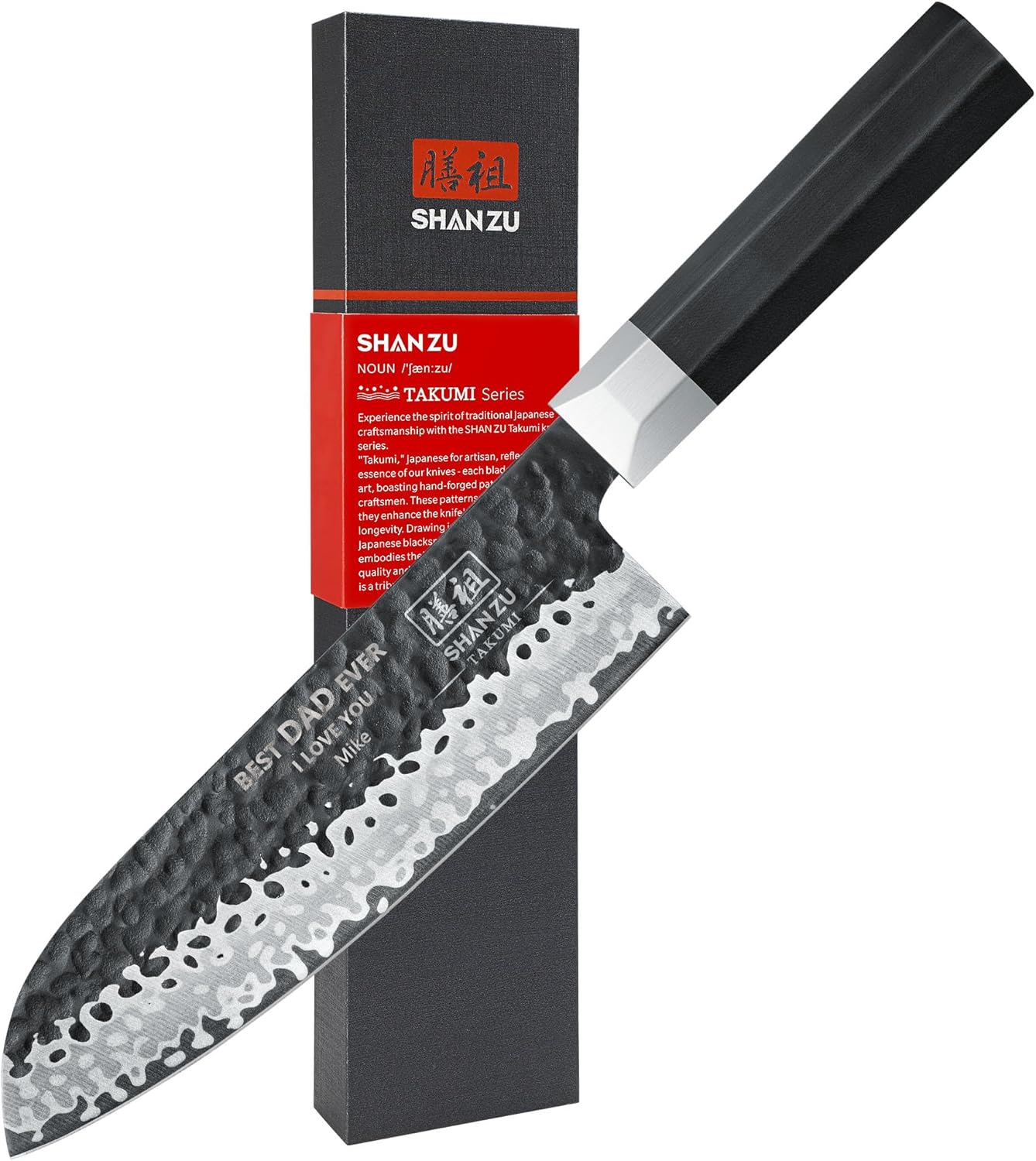 Takumi Japanese Gyuto Chef Knife+MAGNE TICKNIFE HOLDER