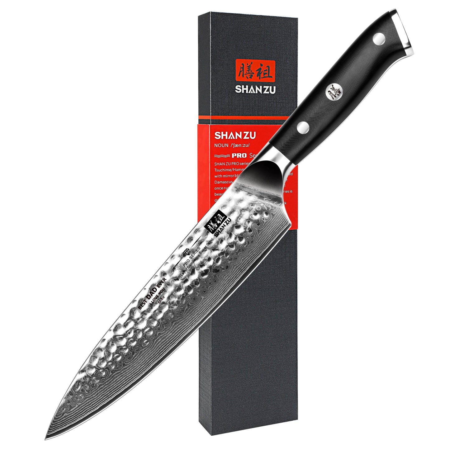PRO Damascus Chef Knife Plus+MAGNE TICKNIFE HOLDER