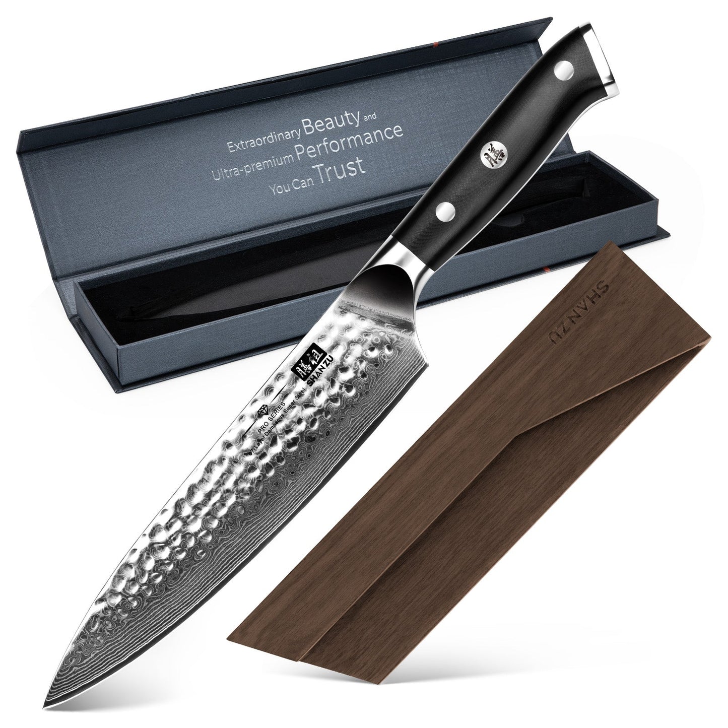 PRO Damascus Chef Knife Plus+MAGNE TICKNIFE HOLDER