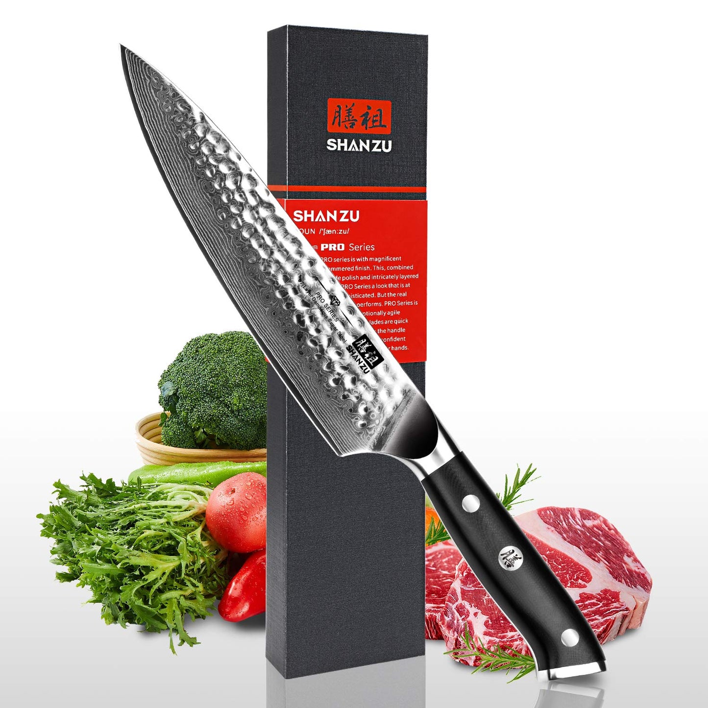 PRO Damascus Chef Knife Plus+MAGNE TICKNIFE HOLDER