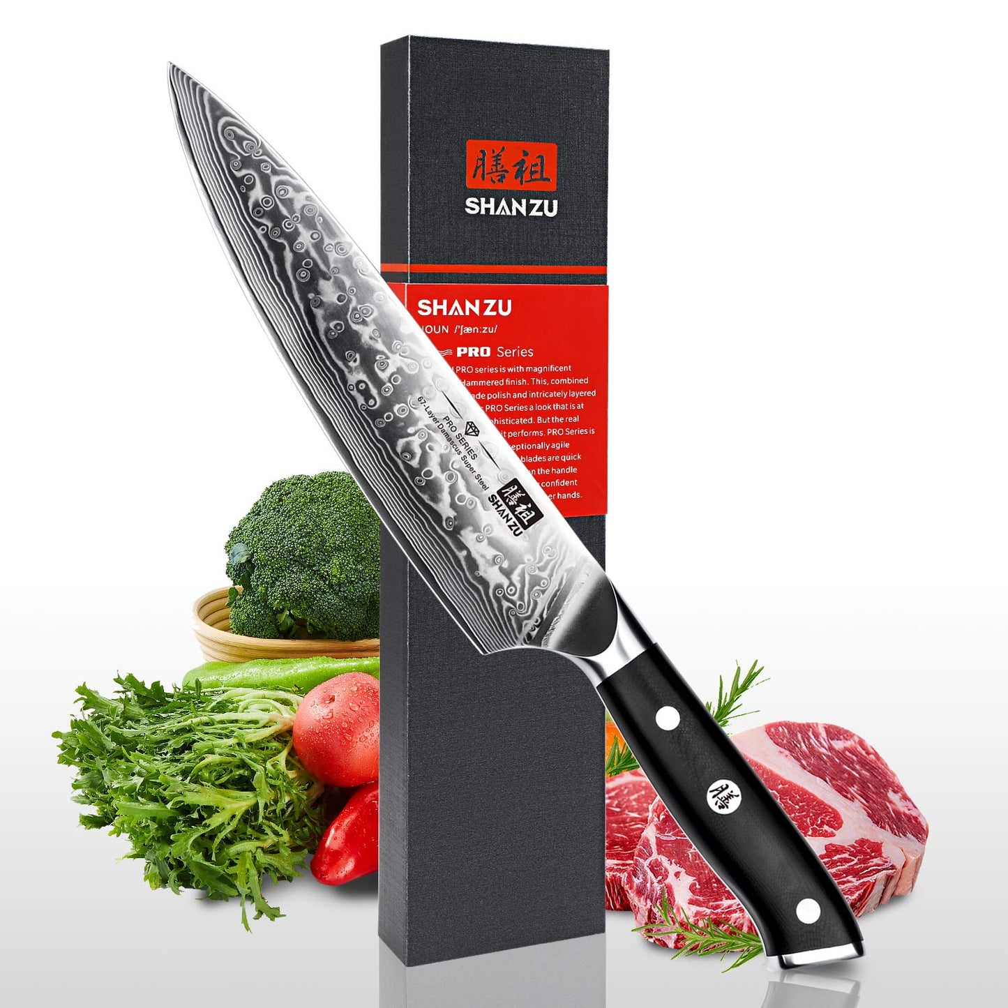 PRO Damascus Chef Knife+MAGNE TICKNIFE HOLDER